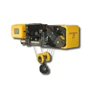 R&M 2 Ton Wire Rope Hoist